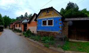 Timiș  jpg