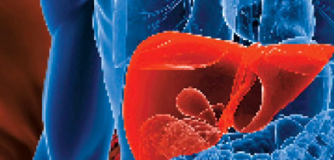 Totul despre bolile hepatice şi despre soluţiile terapeutice
