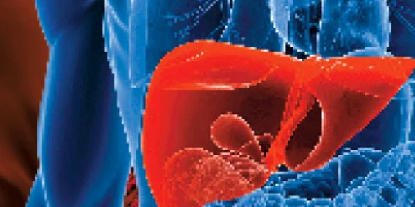 Totul  despre bolile hepatice  şi despre soluţiile  terapeutice