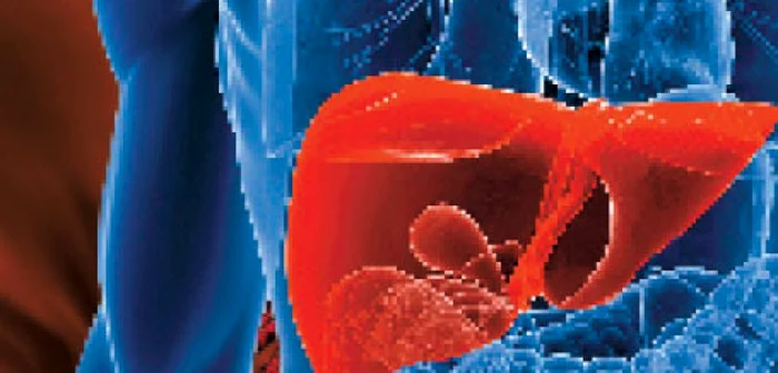Totul despre bolile hepatice şi despre soluţiile terapeutice