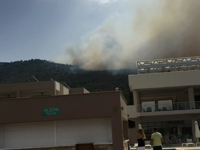 Incendiu în Thassos Foto:Twitter @BSchungel