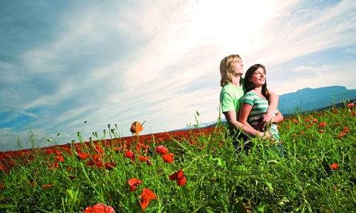 1 58020 original jpg jpeg