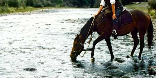 ranger calare bistrita