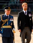 Charles, Harry, William, Getty (2) jpg