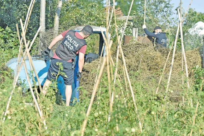 Căutările continuă pe proprietatea lui “Popicu”