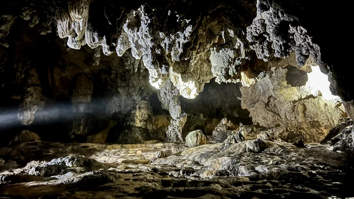 Peștera Măgura din Munții Apuseni. Foto: Florin Coraș, Parcul Natural Apuseni 