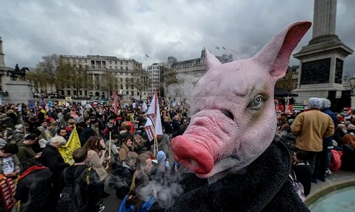 Capul de porc a fost una dintre măștile preferate ale protestatarilor