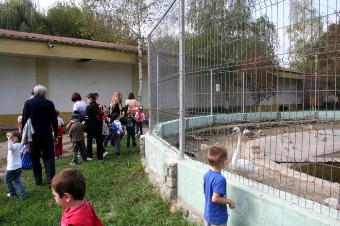 În vizită la Zoo