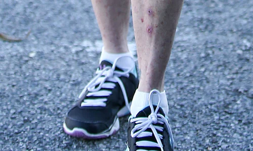 Melanie Griffith seen in West Hollywood jpeg