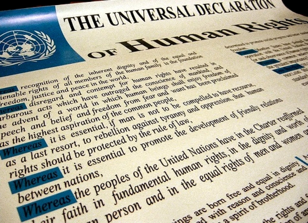 Declaraţia Universală a Drepturilor Omului// Photo source:www.thenutgraph.com