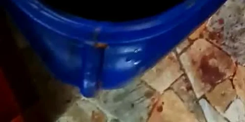 625818cc5163ec42715db8bd jpg