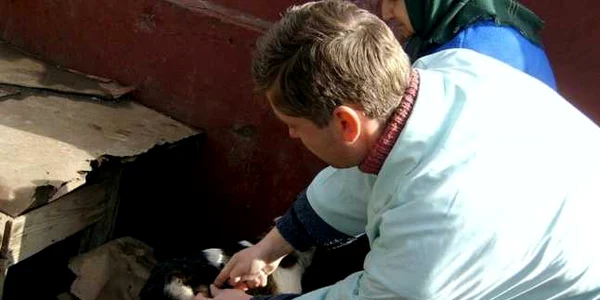 vaccinare