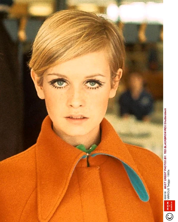 4 twiggy 1960s rexfeatures 69919l jpg jpeg