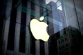apple jpg