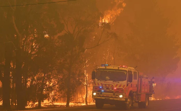 
    AUSTRALIA. Hectare întregi de vegetaţie au fost transformate în scrum pe întreg teritoriul AustralieiFoto: EPA-EFE  