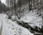 Valea Anineșului Drumul spre Fața Cetei (22) jpg