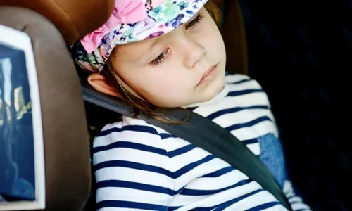 1 raul de masina jpg jpeg