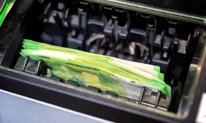 bugs 7408590 1280 jpg