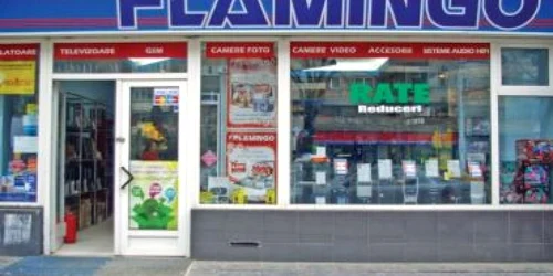 Selgros cere insolvenţa Flamingo International