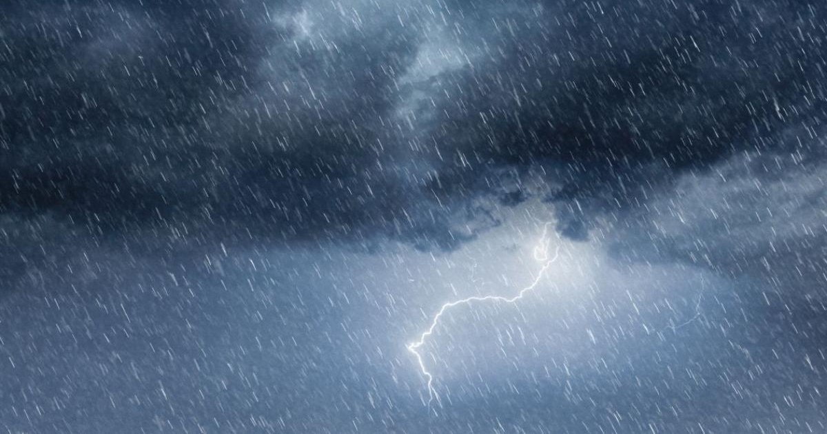 ISU Constanța: Sfaturi utile pentru a proteja animalele în vreme de ploi intense ISU Constanța: Sfaturi utile pentru a proteja animalele în vreme de ploi intense