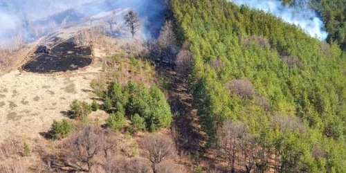 incendiu padure salaj foto isu salaj