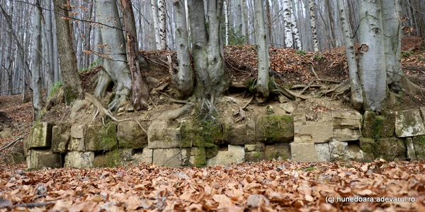 Cetatea dacica Fețele Albe Foto Daniel Guță (13) JPG