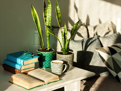 shutterstock 1944496678 jpg