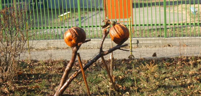 Decoraţiunile rustice au fost făcute de administratorul asociaţiei
