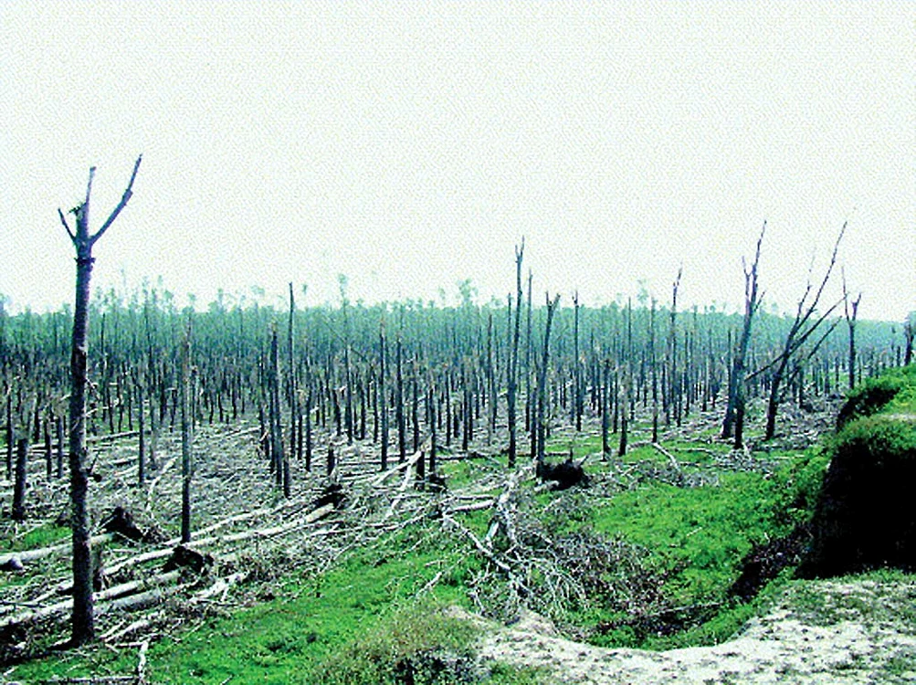 Urmările tornadei de la Făcăeni