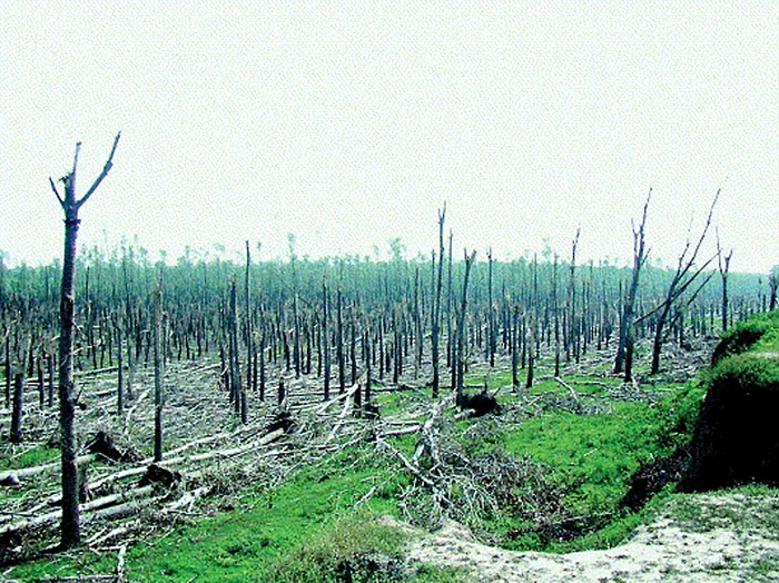 Urmările tornadei de la Făcăeni