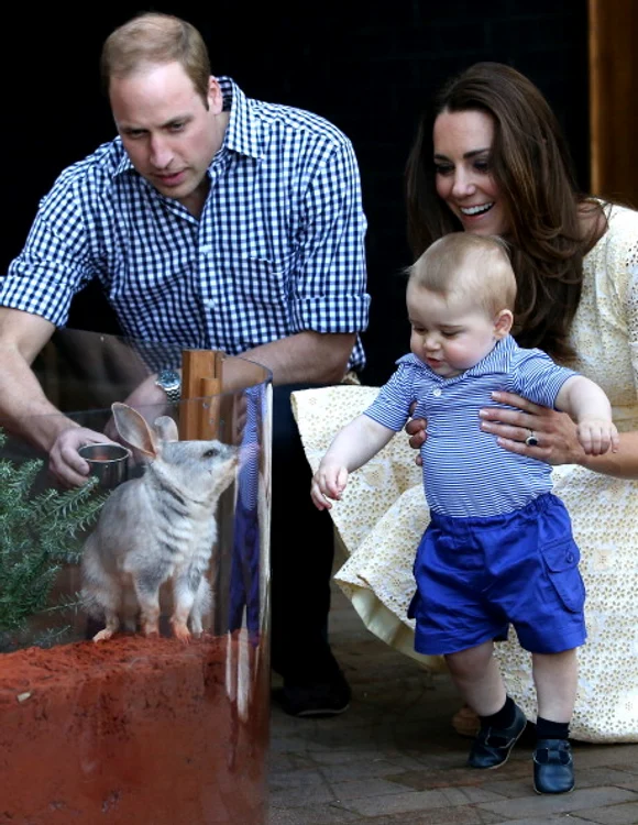 printul george jpeg