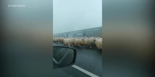 5e30115a5163ec427187ea03 jpg