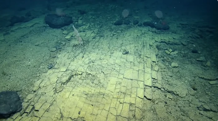 Foto: captură YouTube