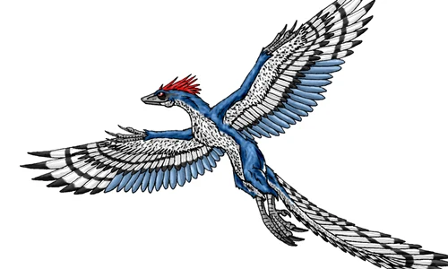 Archaeopterix nu a fost strămoşul păsărilor png