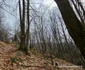 Cetatea dacică Fețele Albe Foto Daniel Guță ADEVĂRUL (61) jpg