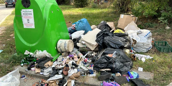 gunoaie timisoara jpg