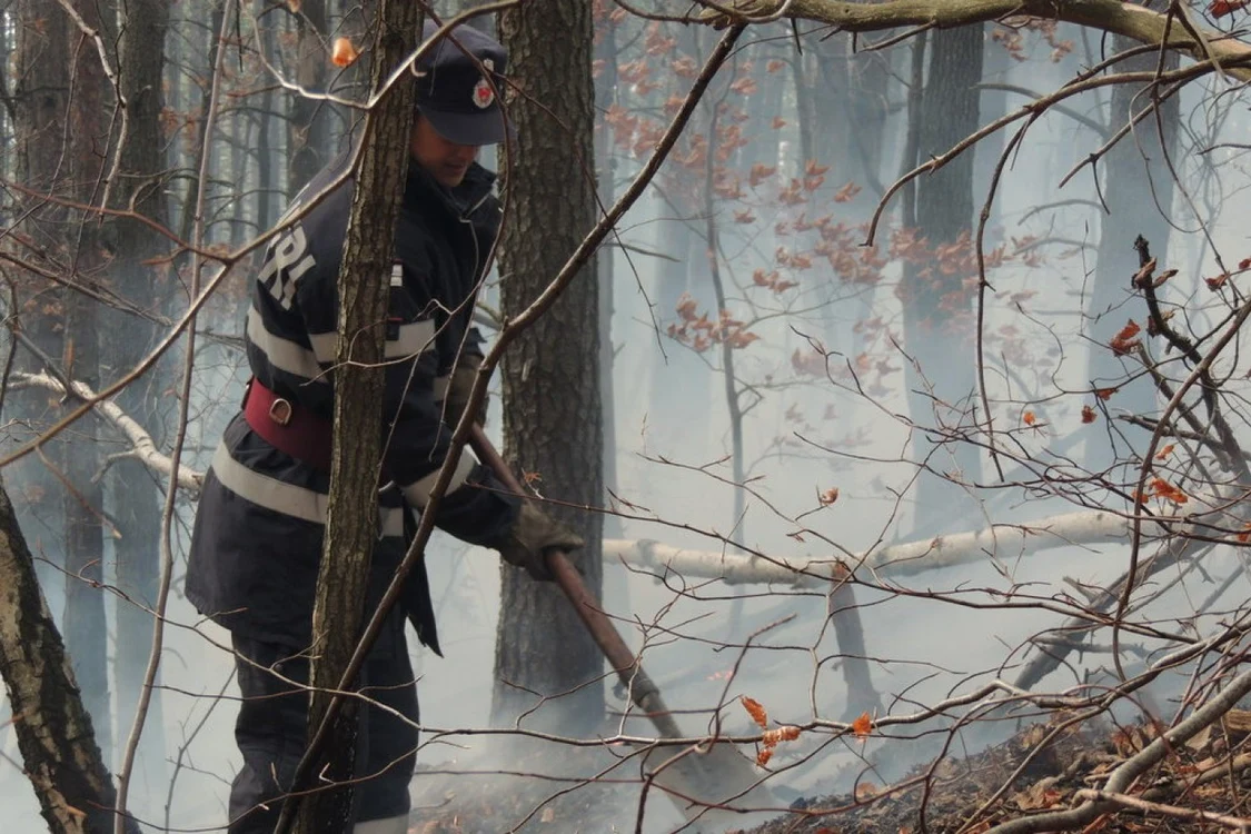 Flăcările au cuprins litera pădurilor din Şureanu. FOTO: ISU Hunedoara.