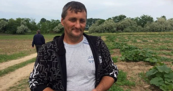 Cartofii de Călăraşi au ajuns deja în pieţe
