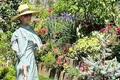"Am și sădit în grădină semințe pentru a avea în curând salate, verdețuri și legume, abia le aștept", ne-a spus vedeta