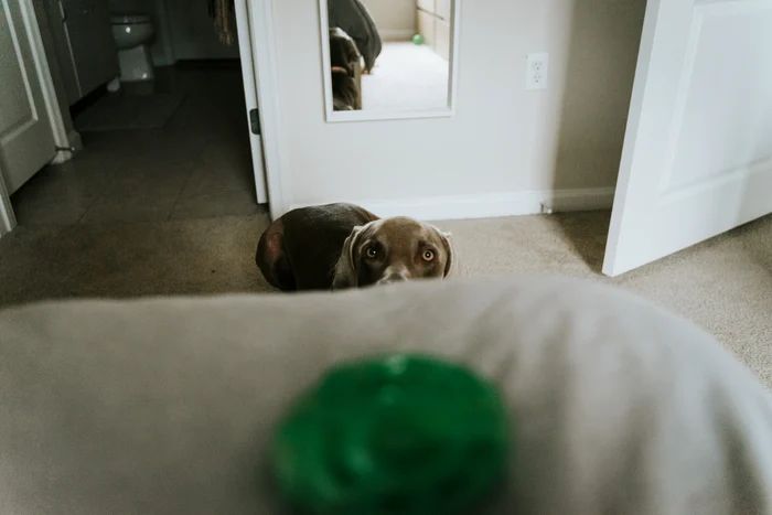 foto: unsplash.com
