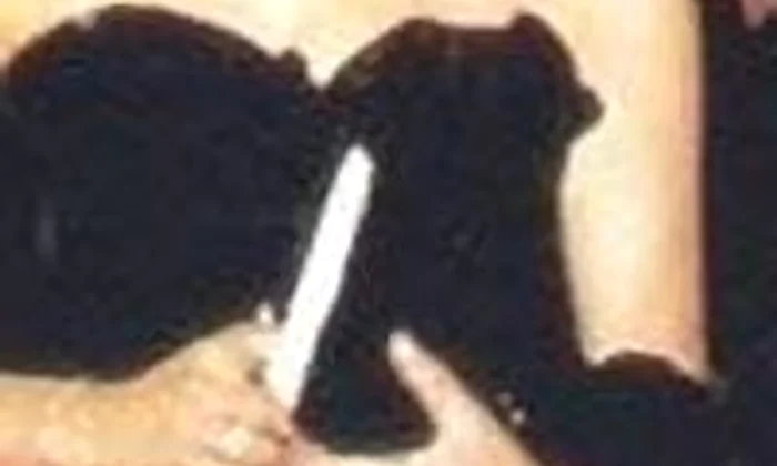 lady di jpeg