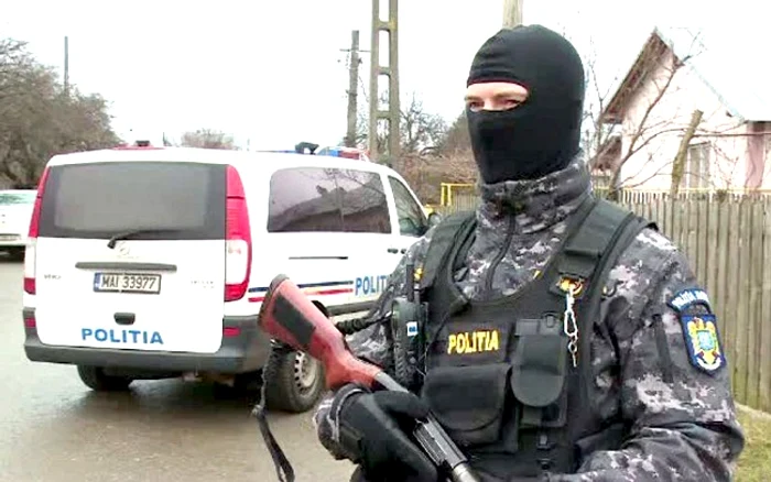 
    Exemplarele de bulldog francez erau cumpărate cu 300 de euro și vândute cu pedigree fals cu 1500 de euroFoto: rasedecaini.ro  