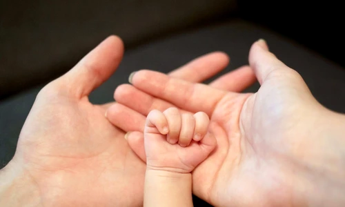 1 shutterstock 213024253 jpg jpeg