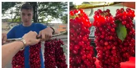 „Băiatul de la Comarna" a cucerit internetul cu „ciorchinii de cireșe” 