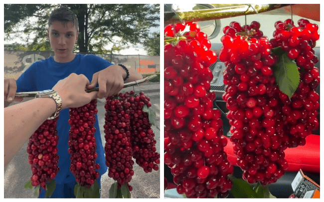 „Băiatul de la Comarna" a cucerit internetul cu „ciorchinii de cireșe” pe care-i vinde pe marginea drumului