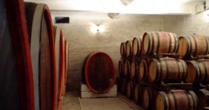 Ploieşti: Producătorii de vin au de suferit din cauza crizei