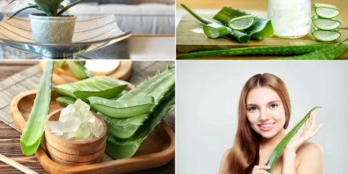 Aloe Vera și beneficiile sale extraordinare pentru piele și sănătate în general Colaj Adevărul DMS