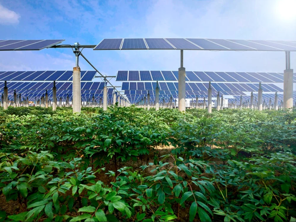 Sistem agro-fotovoltaic
