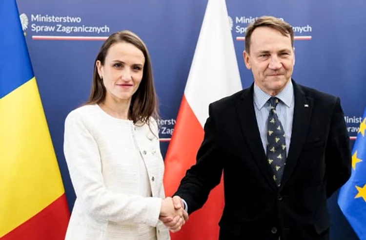 Oana Țoiu și Radek Sikorski. FOTO FB Oana Țoiu