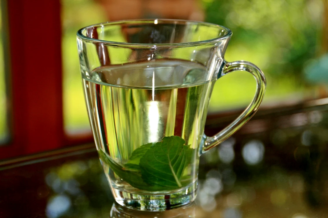 1 peppermint tea 352334 1920 jpg jpeg
